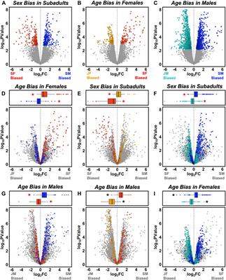 Ontogenetic Change in Male Expression of Testosterone-Responsive Genes Contributes to the Emergence of Sex-Biased Gene Expression in Anolis sagrei